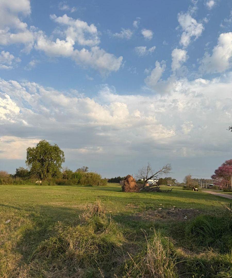 Foto de Terreno de 377 m² en venta en Nelson, imagen 2