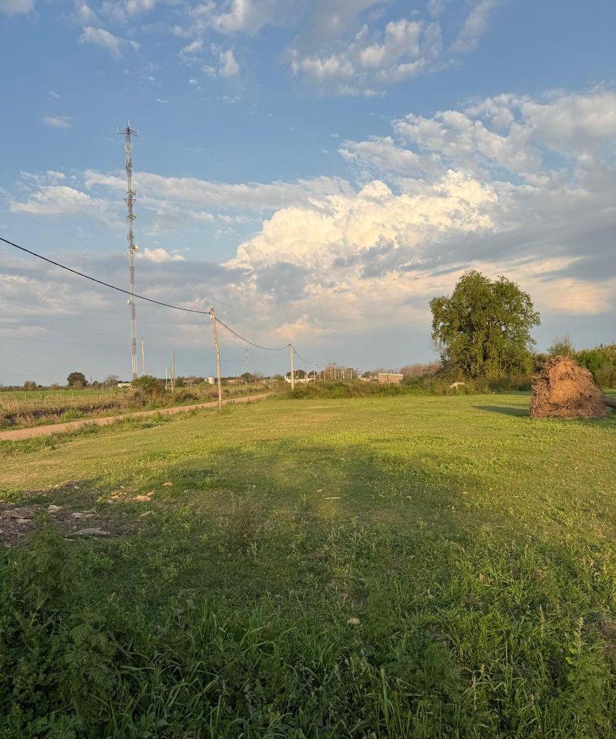 Terreno de 377 m² en venta en Nelson