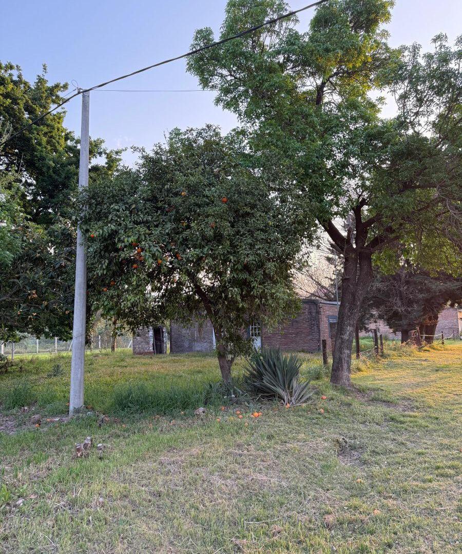 Foto de Casa de 300 m² con 2 dormitorios en venta en Candioti, imagen 4