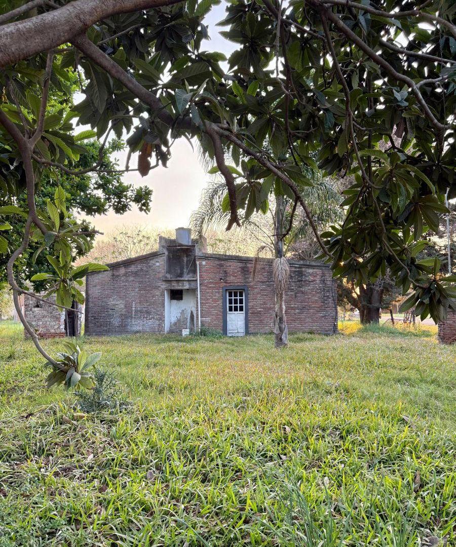 Foto de Casa de 300 m² con 2 dormitorios en venta en Candioti, imagen 5