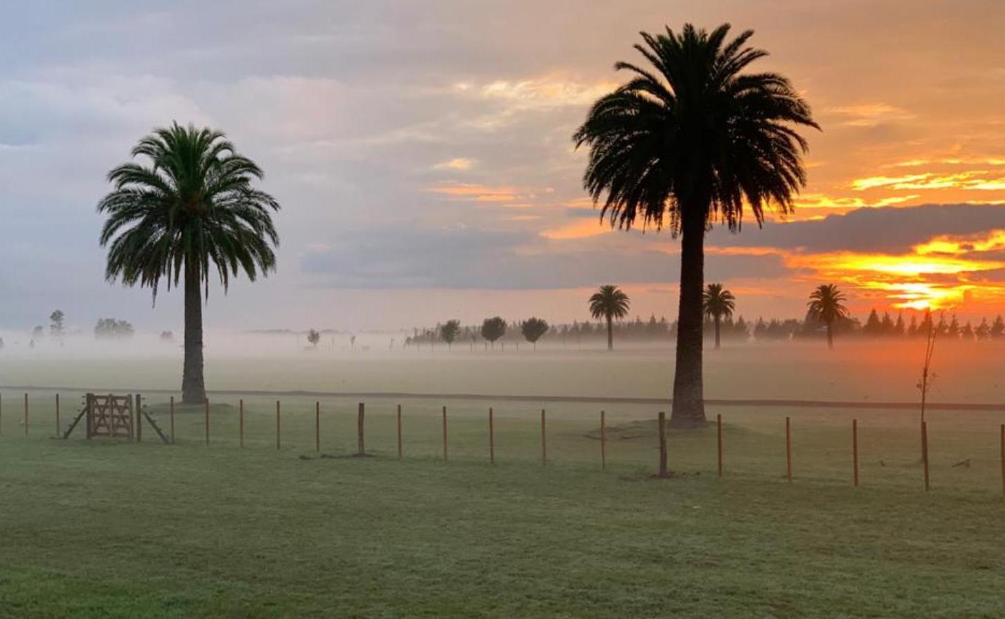 Foto de Terreno en venta en PUESTO VIEJO | Cañuelas, imagen 3