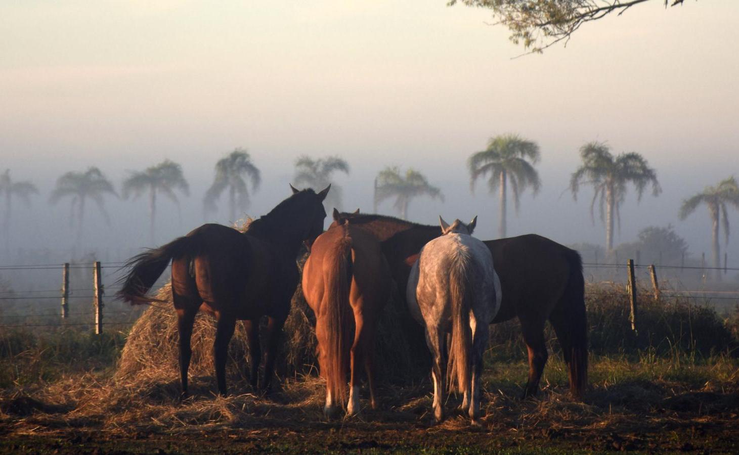 Foto de Lote en venta en Puesto Viejo Club de Campo | Cañuelas, imagen 3