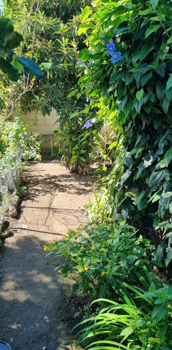 Casa en Venta, San José de La Dormida 4
