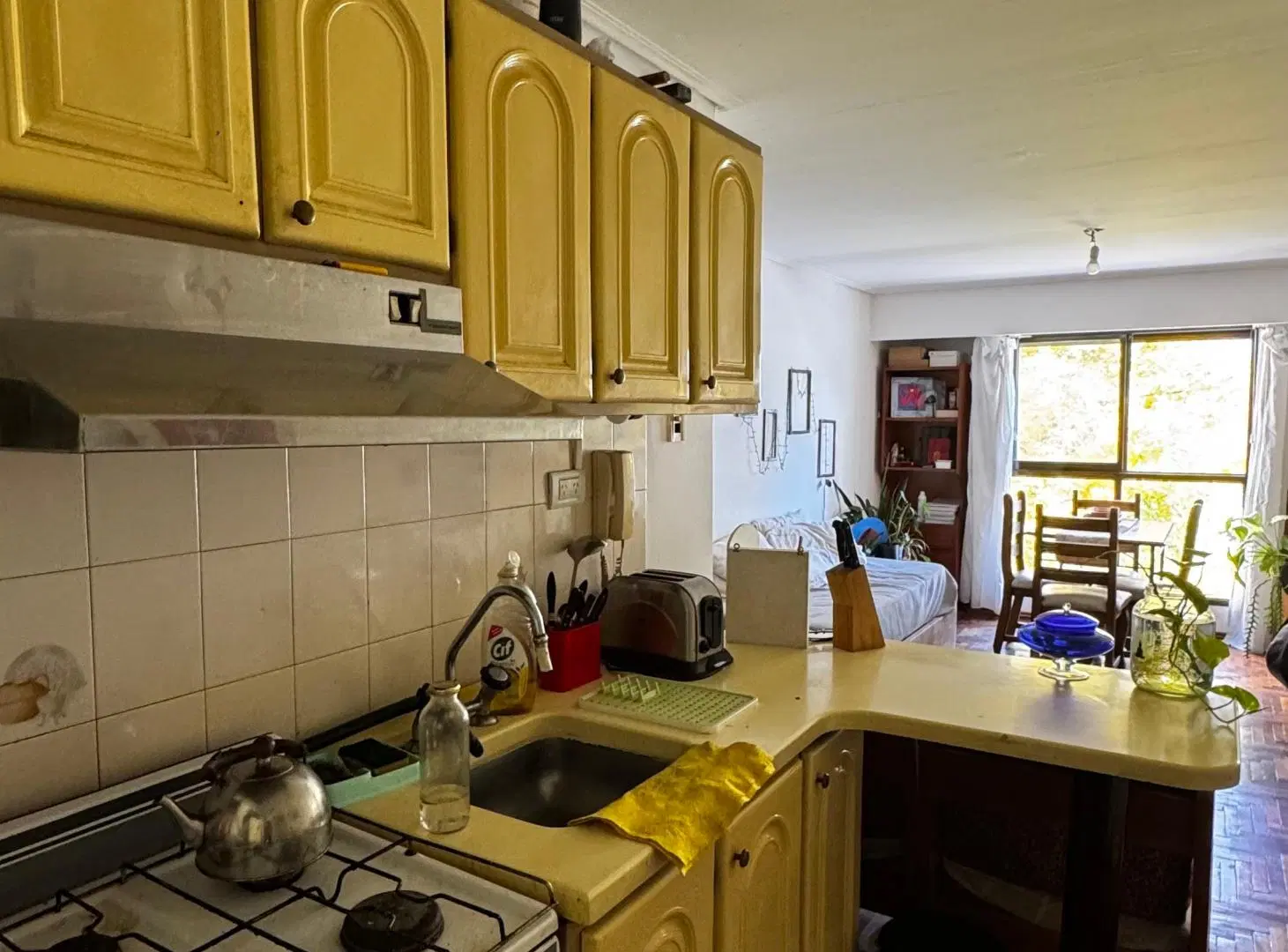 Departamento de 40 m² con 1 dormitorio en alquiler en Alberdi 2