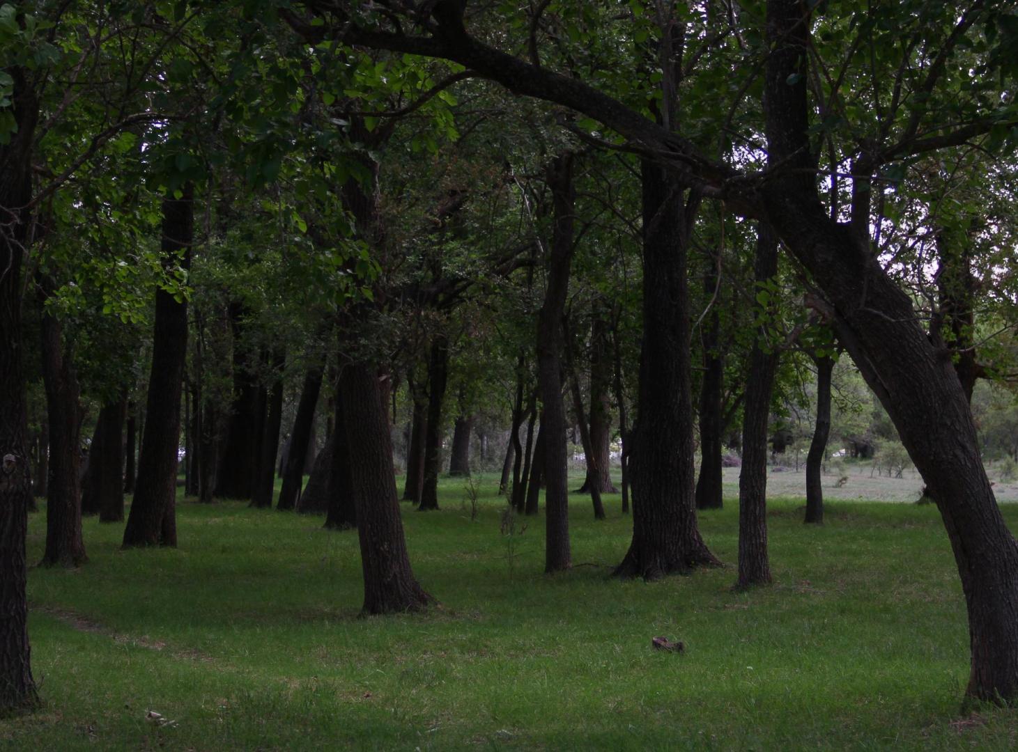 Foto de Lote con costa de río privada en barrio cerrado, Almafuerte, imagen 5