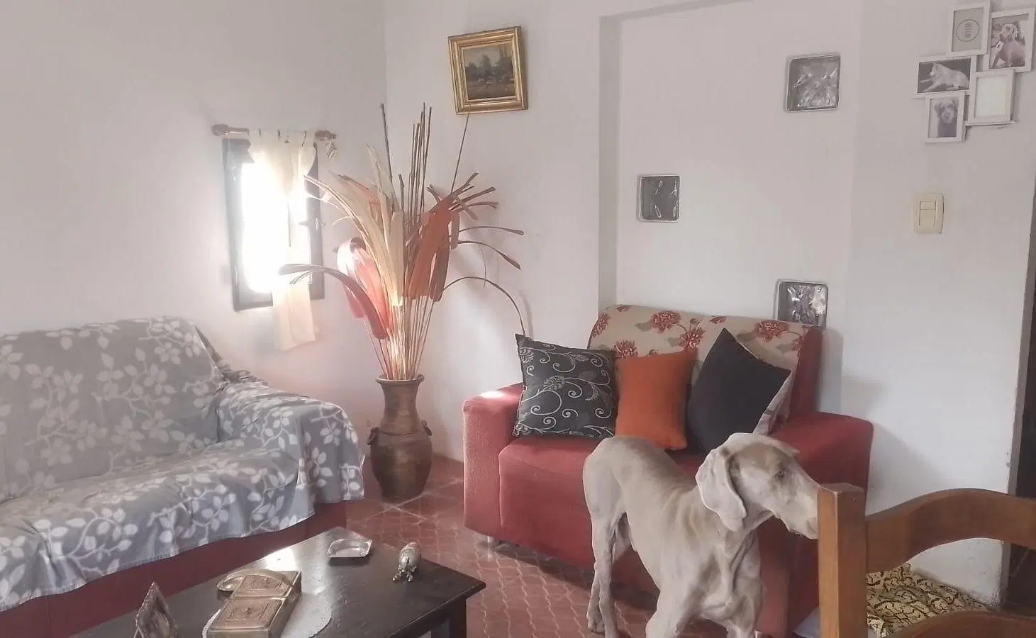 Casa en San Alfonso 4