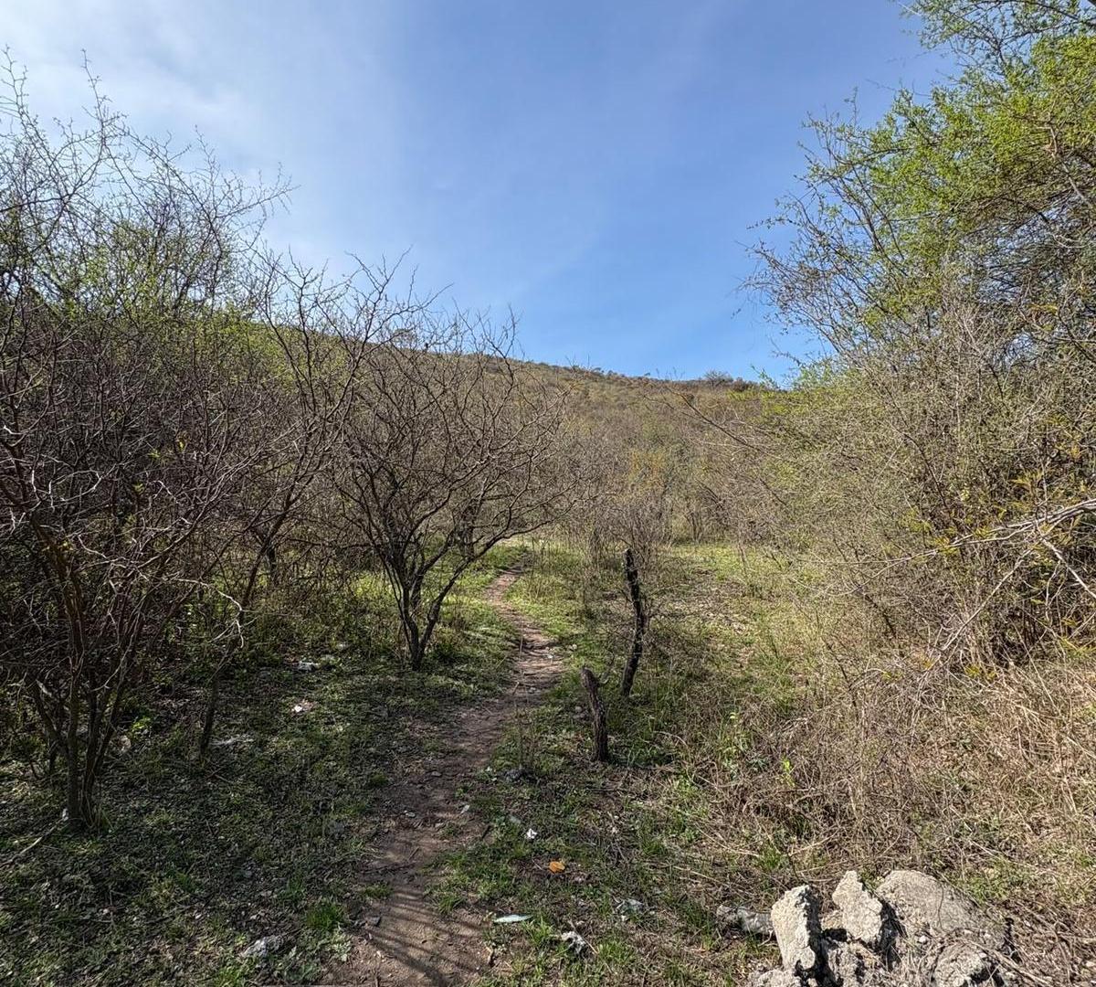 Foto de Terreno de 6983m2 en Valle del Sol - La Calera, imagen 5