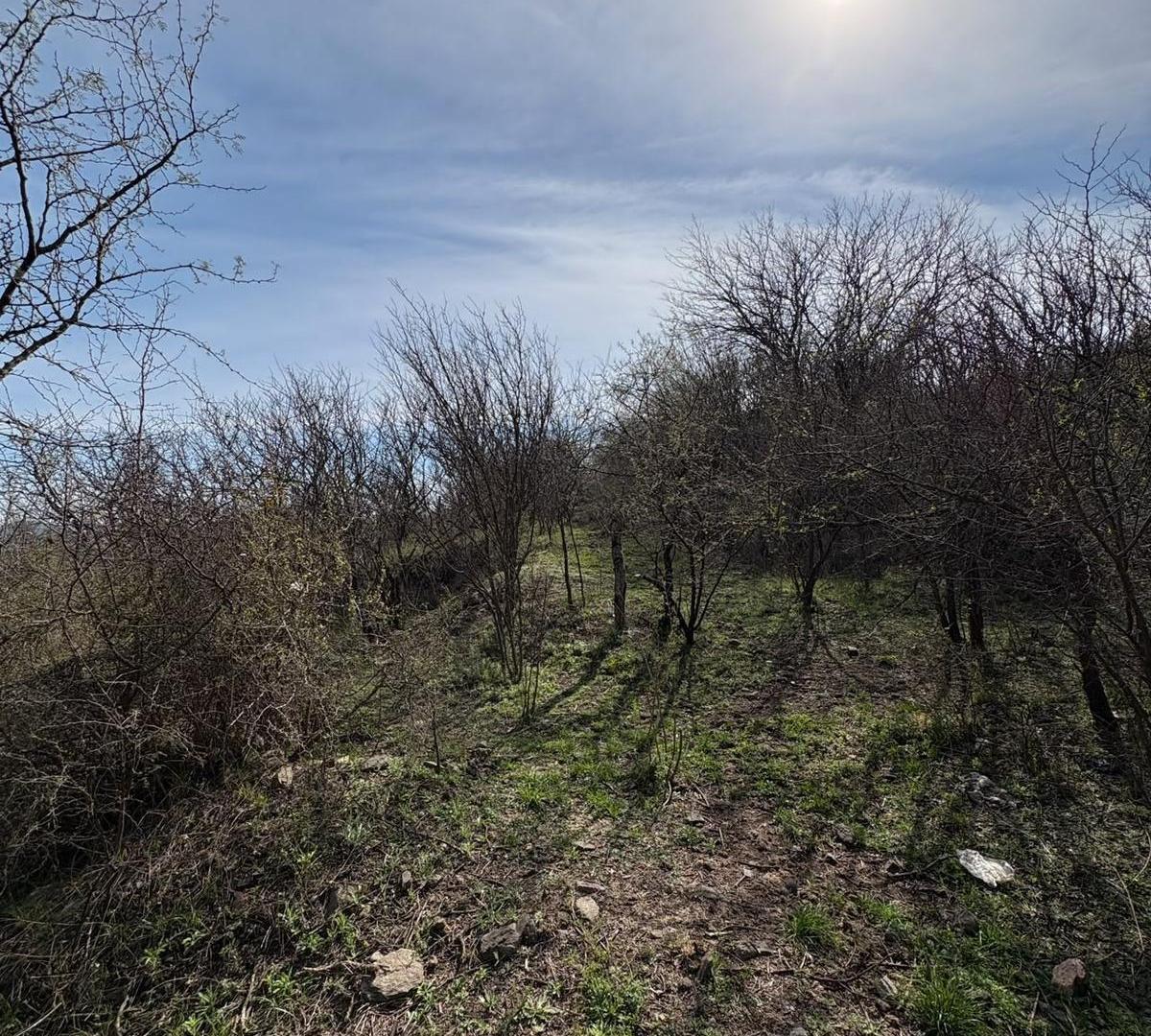 Foto de Terreno de 6983m2 en Valle del Sol - La Calera, imagen 4