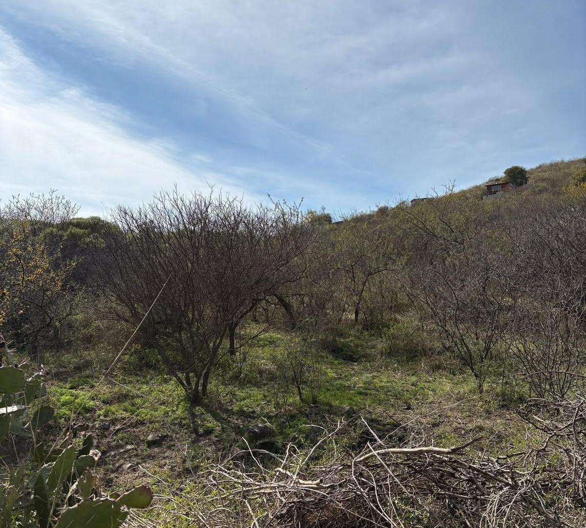 Foto de Terreno de 6983m2 en Valle del Sol - La Calera, imagen 2