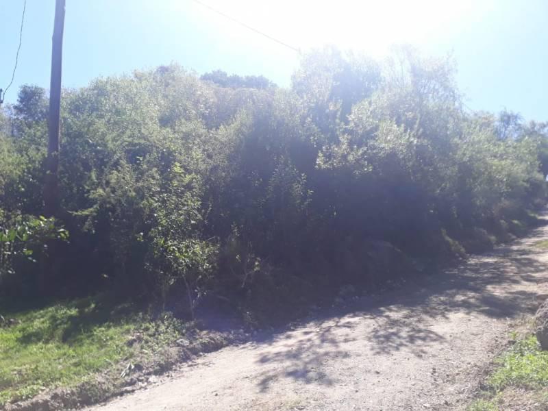 Foto de AGUA DE ORO - PRADOS DE LA RIVERA - ESCRITURA, imagen 1