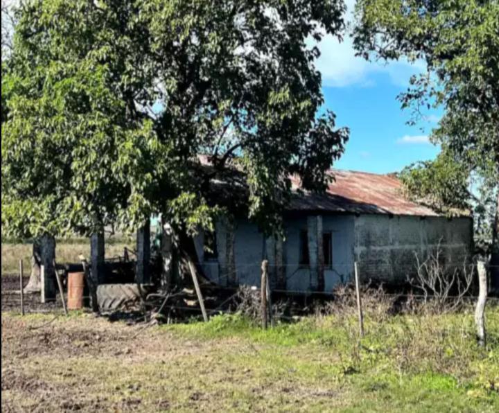 Campo en Concordia, Pcia de Entre Rios, Argentina 4