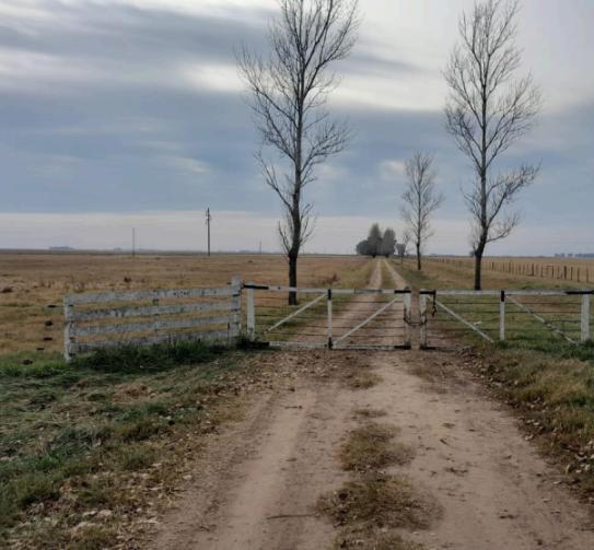 Campo en Saladillo, Pcia. Buenos Aires, Argentina 3