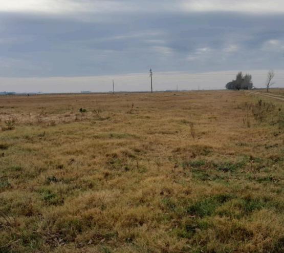 Campo en Saladillo, Pcia. Buenos Aires, Argentina 1