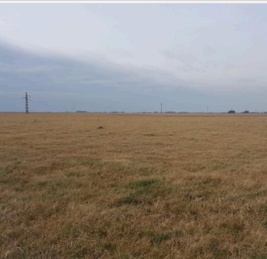 Campo en Saladillo, Pcia. Buenos Aires, Argentina 5