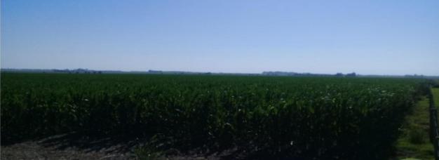 Campo 3570 Has Agricolas, Rio Cuarto, Pcia. Cordoba, Argentina 4