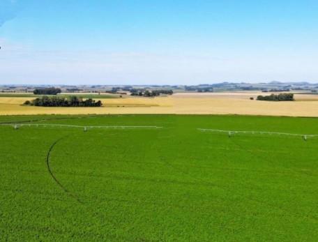 Campo 1970 Has Agricolas, Balcarce, Pcia. Buenos Aires, Argentina 2