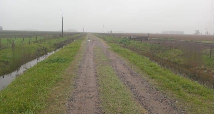 Venta Campo 488 Has Mixtas, Saladillo, Pcia. Buenos Aires, Argentina 4