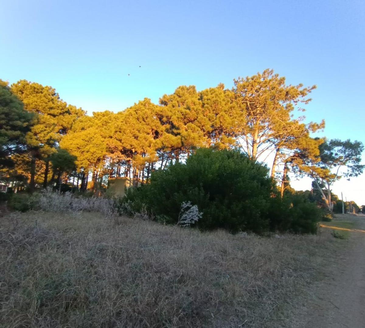 Lote en Venta Nueva Atlantis 500 m² 3