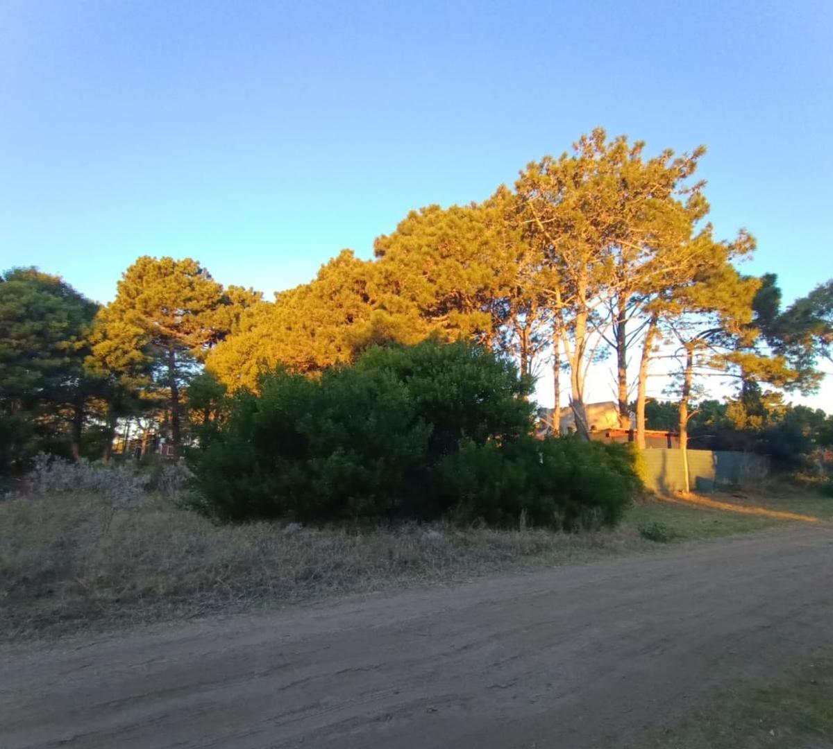 Lote en Venta Nueva Atlantis 500 m² 2