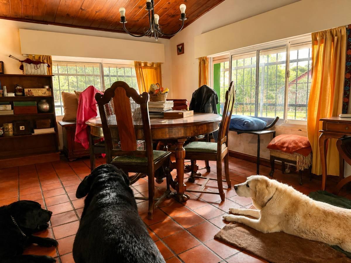 Foto de Venta EXCLUSIVA QUINTA en Pilar – 1 hectárea de parque y múltiples, imagen 5