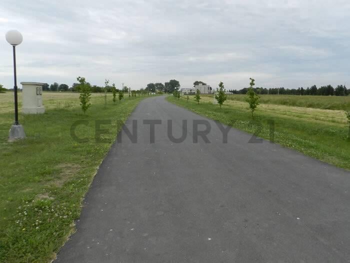 Foto de Venta de lote en Fincas del Alba Caning, imagen 3