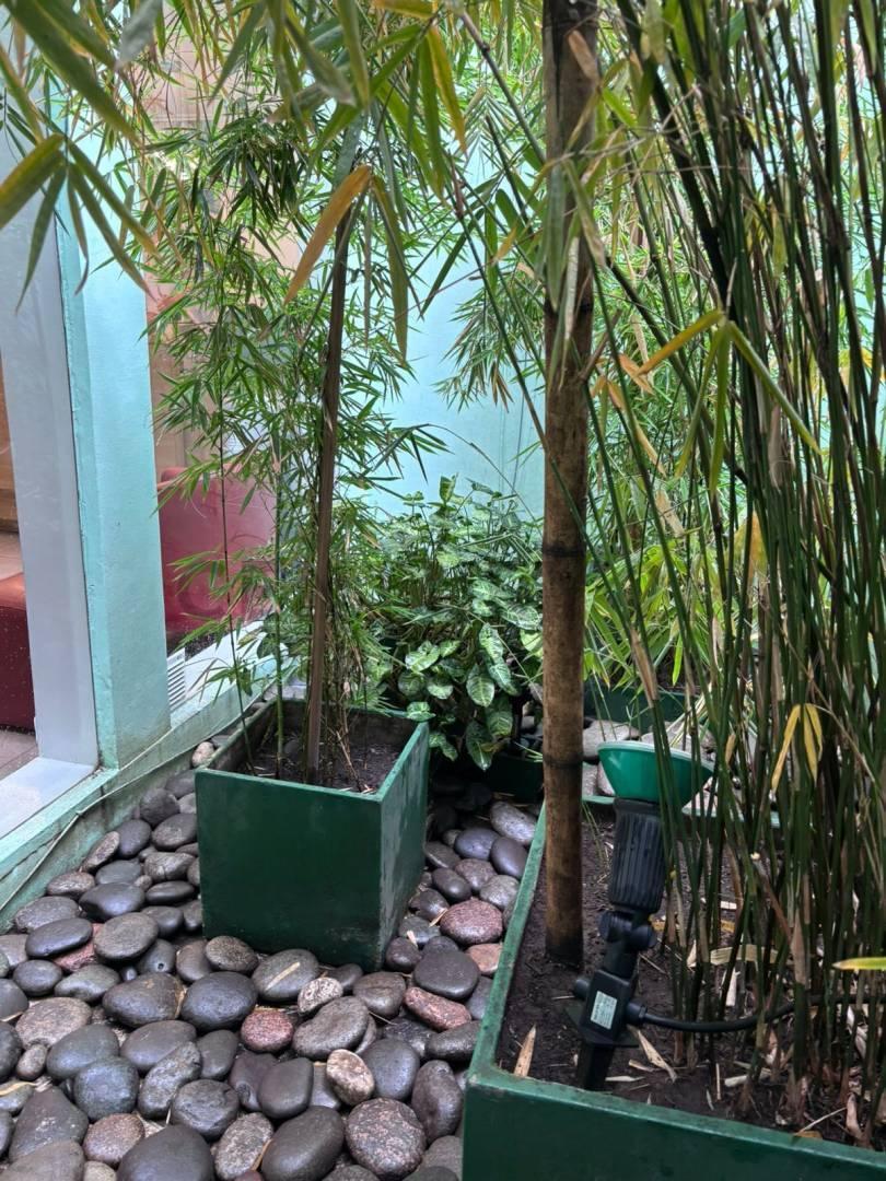 Foto de Venta de local 192 mts cuadrados Caballito, imagen 4