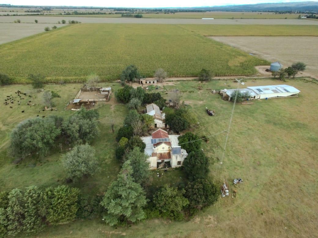 Foto de VENTA CAMPO DE 4 HECTAREAS PARA DESARROLLO O EXPLOTACION GANADERA - LOS, imagen 2