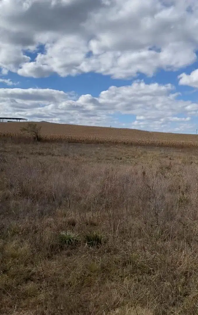 VENTA CAMPO  5 HECTAREAS - LOS POZOS, MACHA TOTORAL, CORDOBA 3