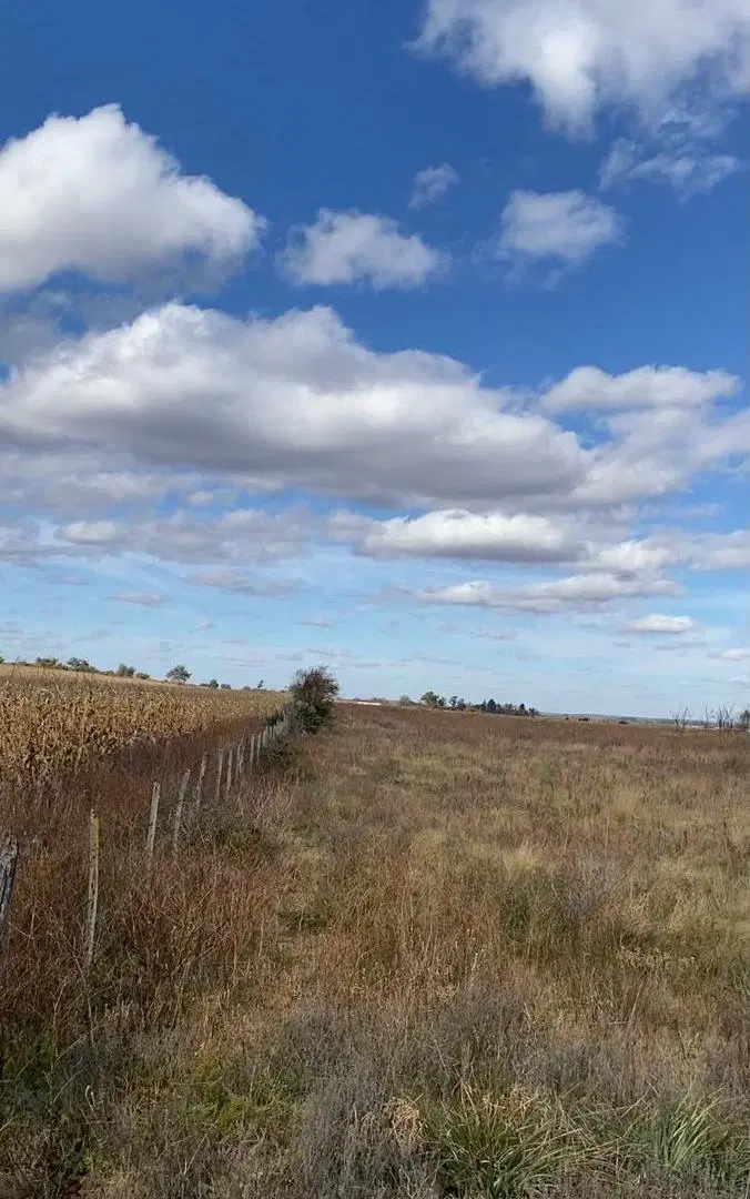 VENTA CAMPO  5 HECTAREAS - LOS POZOS, MACHA TOTORAL, CORDOBA 4