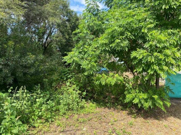 Foto de VENTA LOTE RESIDENIAL, SALSIPUEDES, imagen 5