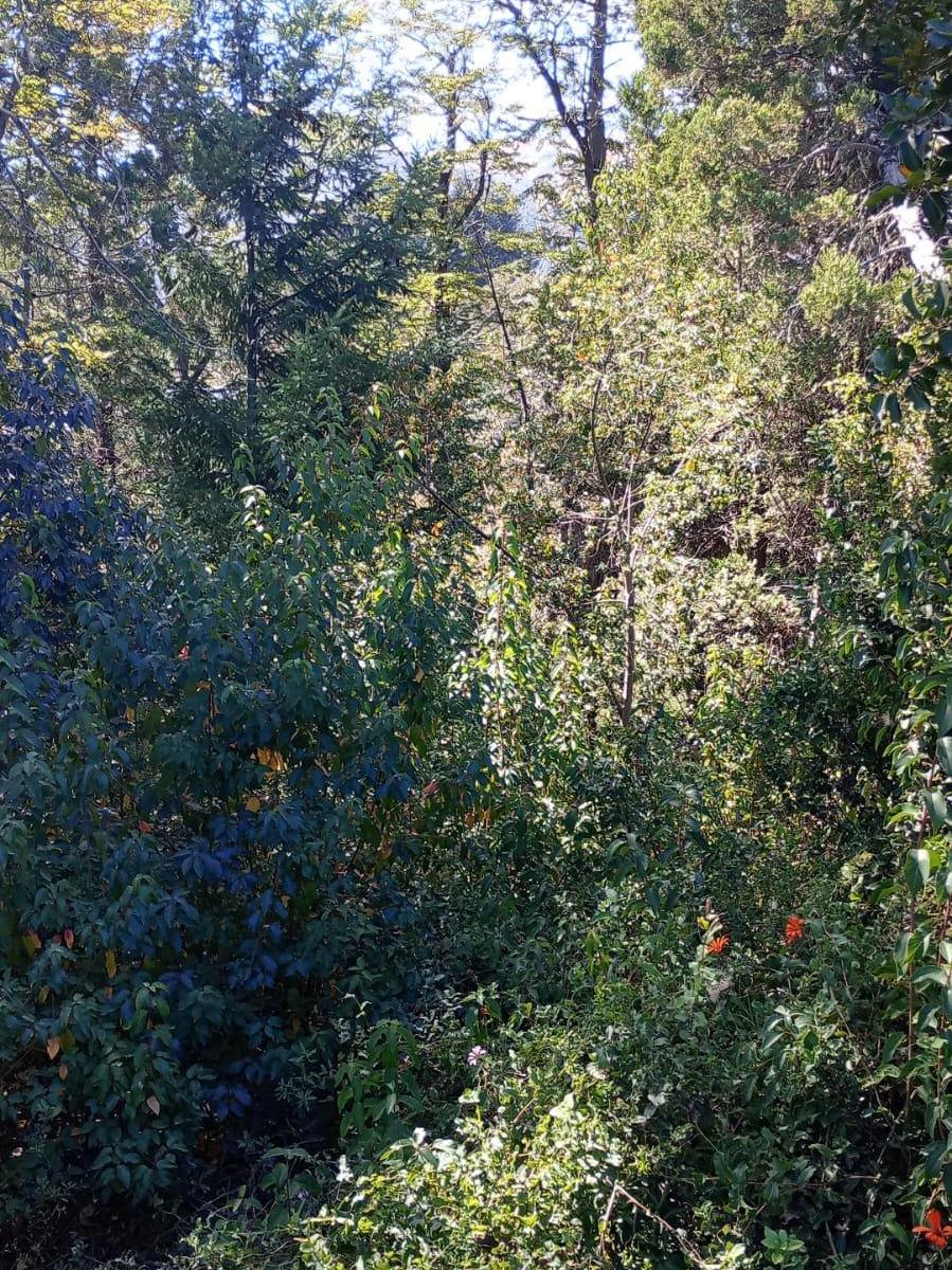 RIO MINERO – TRES CERROS – VILLA LA ANGOSTURA