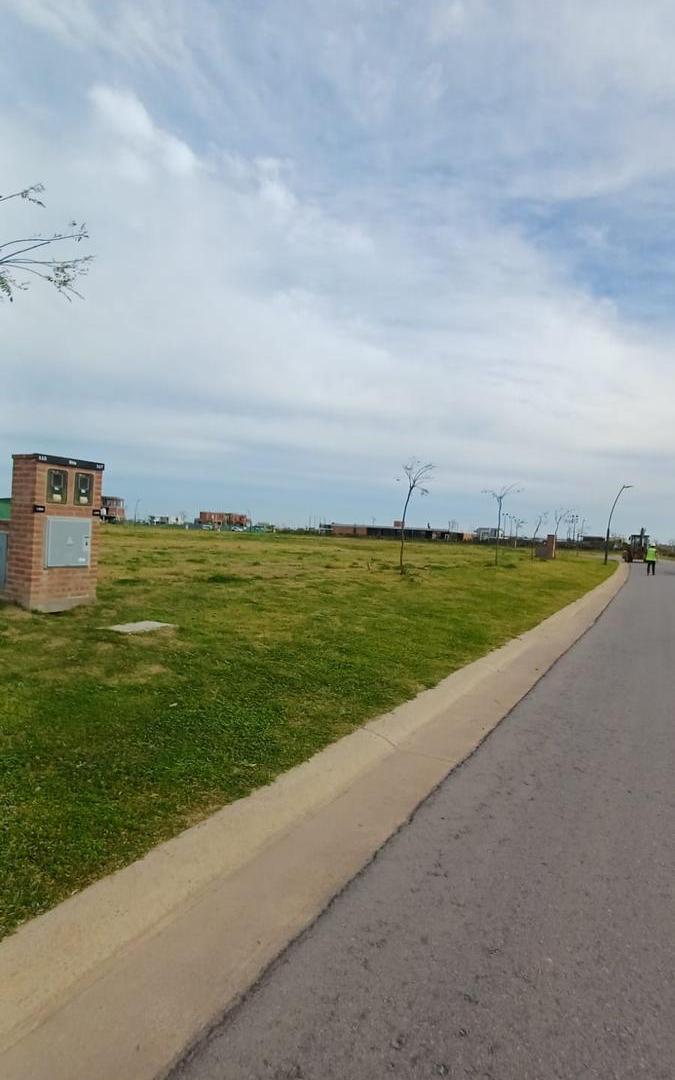 Foto de Terreno en Amarras, imagen 3