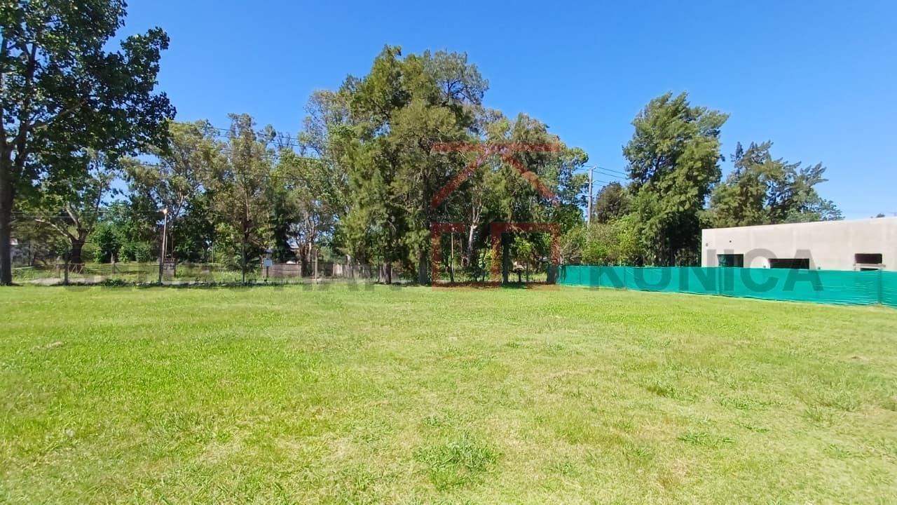 Foto de Lote al 500 en Santa Isabel 2, imagen 5