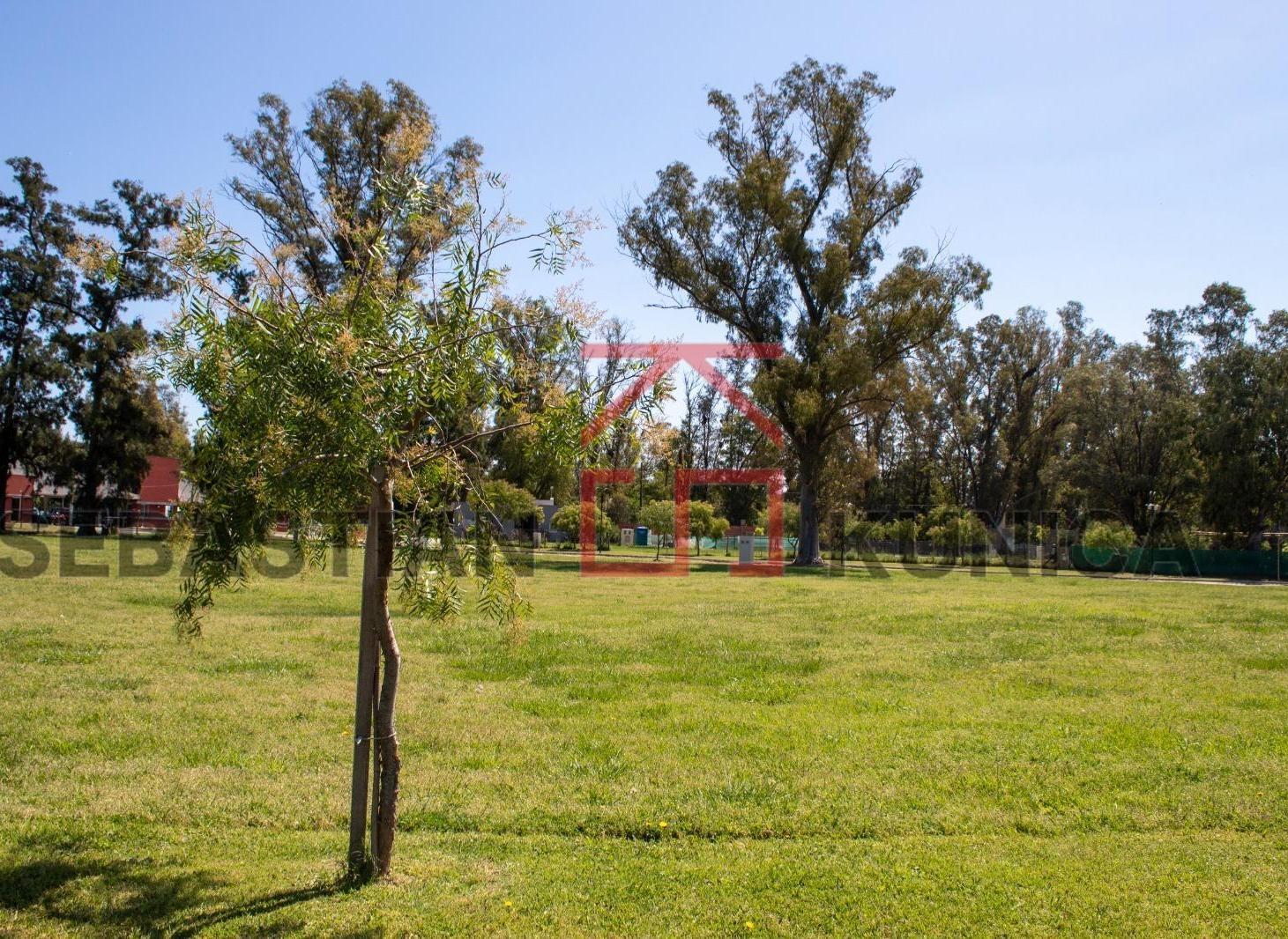 Foto de Lote interno en Barrio El Ensueño, imagen 1