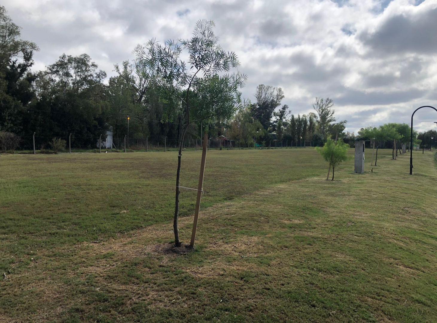 Foto de Terreno en El Ensueño Lote, imagen 2