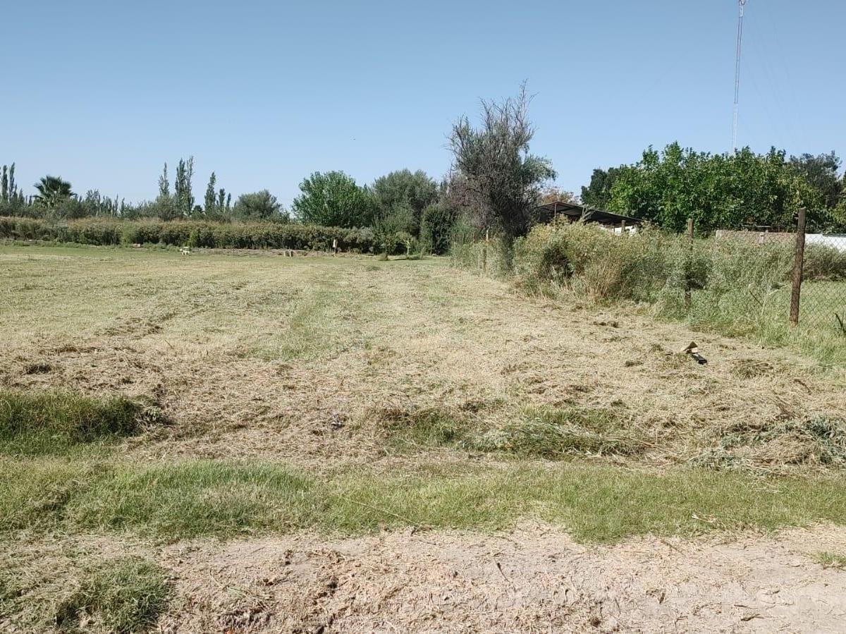 ¡Susolución Inmobiliaria Vende Lotes, Ideal Para Inversión! 2