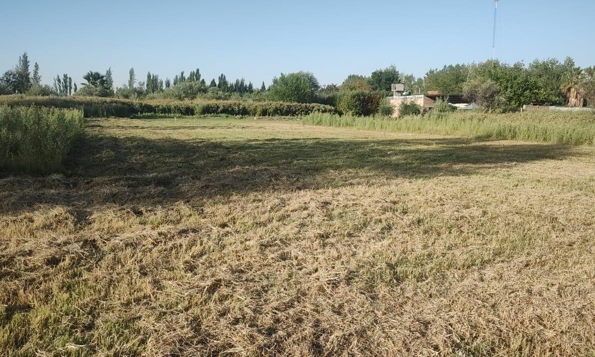 ¡Susolución Inmobiliaria Vende Lotes, Ideal Para Inversión! 1