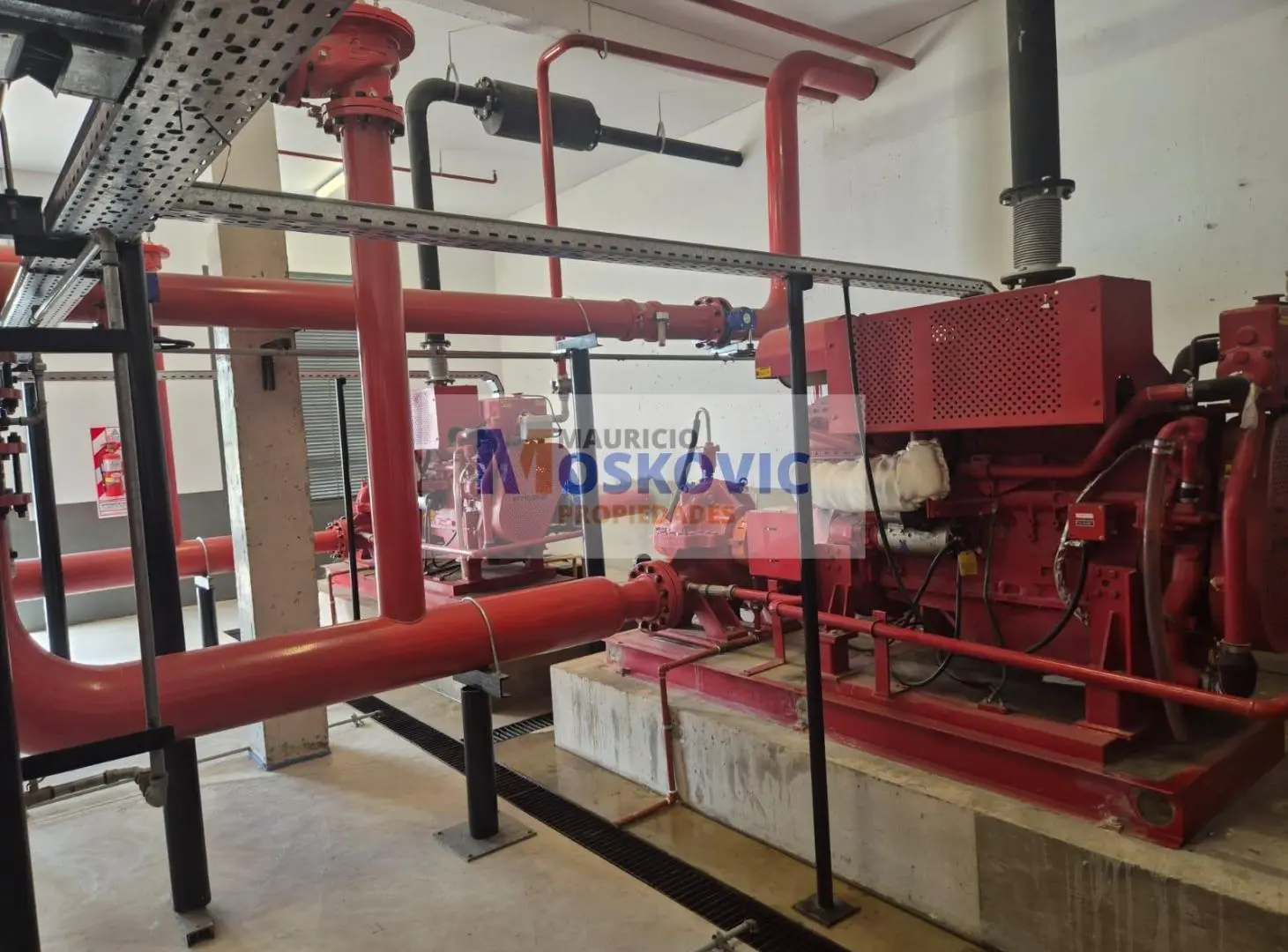 Nave Industrial 9.000 m2 - Parque Industrial - Moreno 4