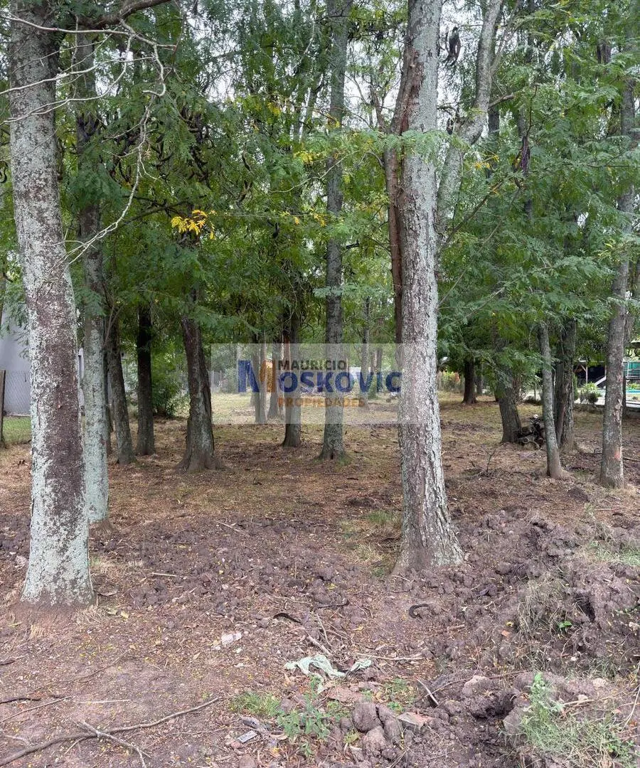 Terreno en La Reja - Lote en venta - 1.160 m² 2