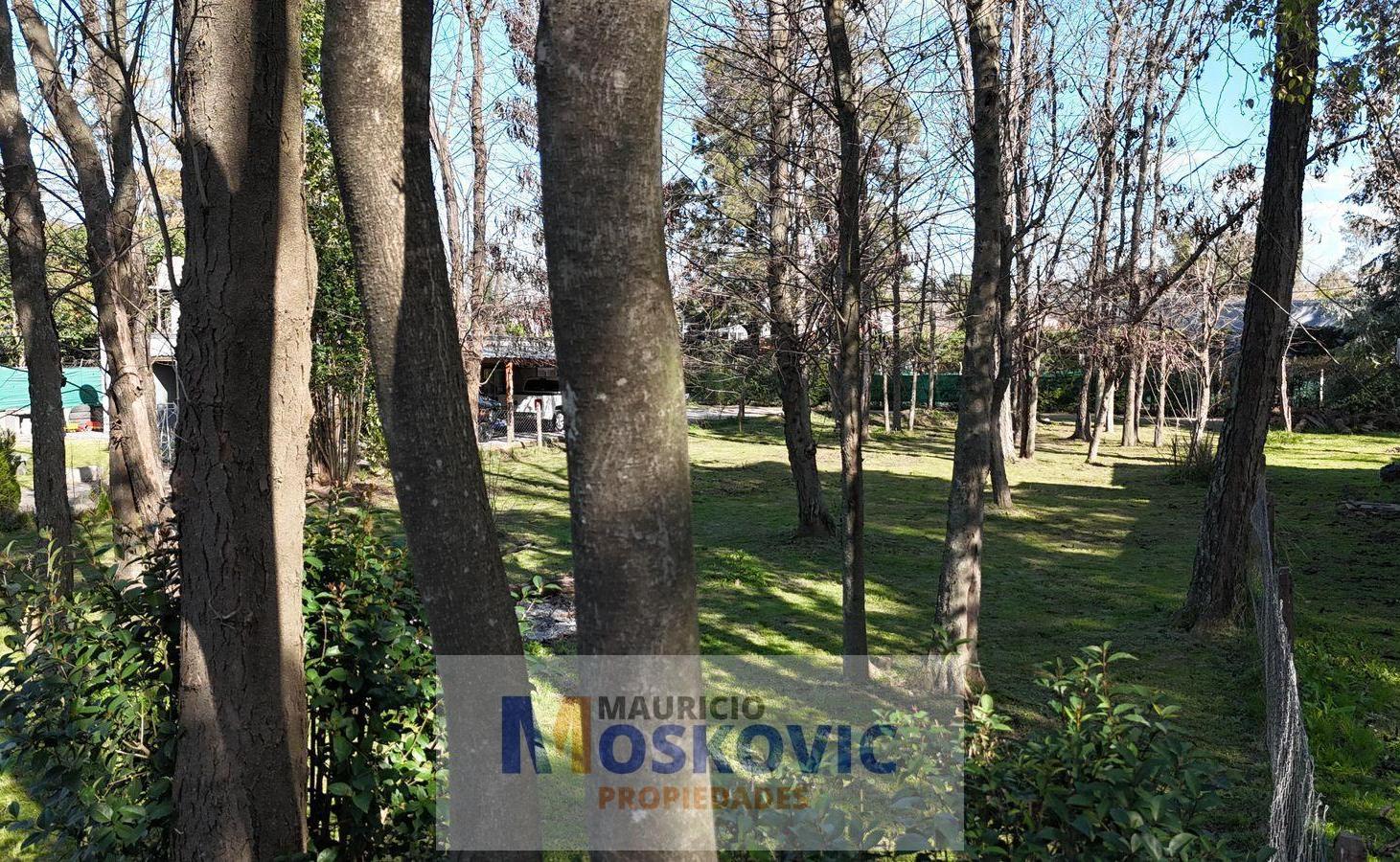 Foto de Terreno en complejo cerrado, imagen 5