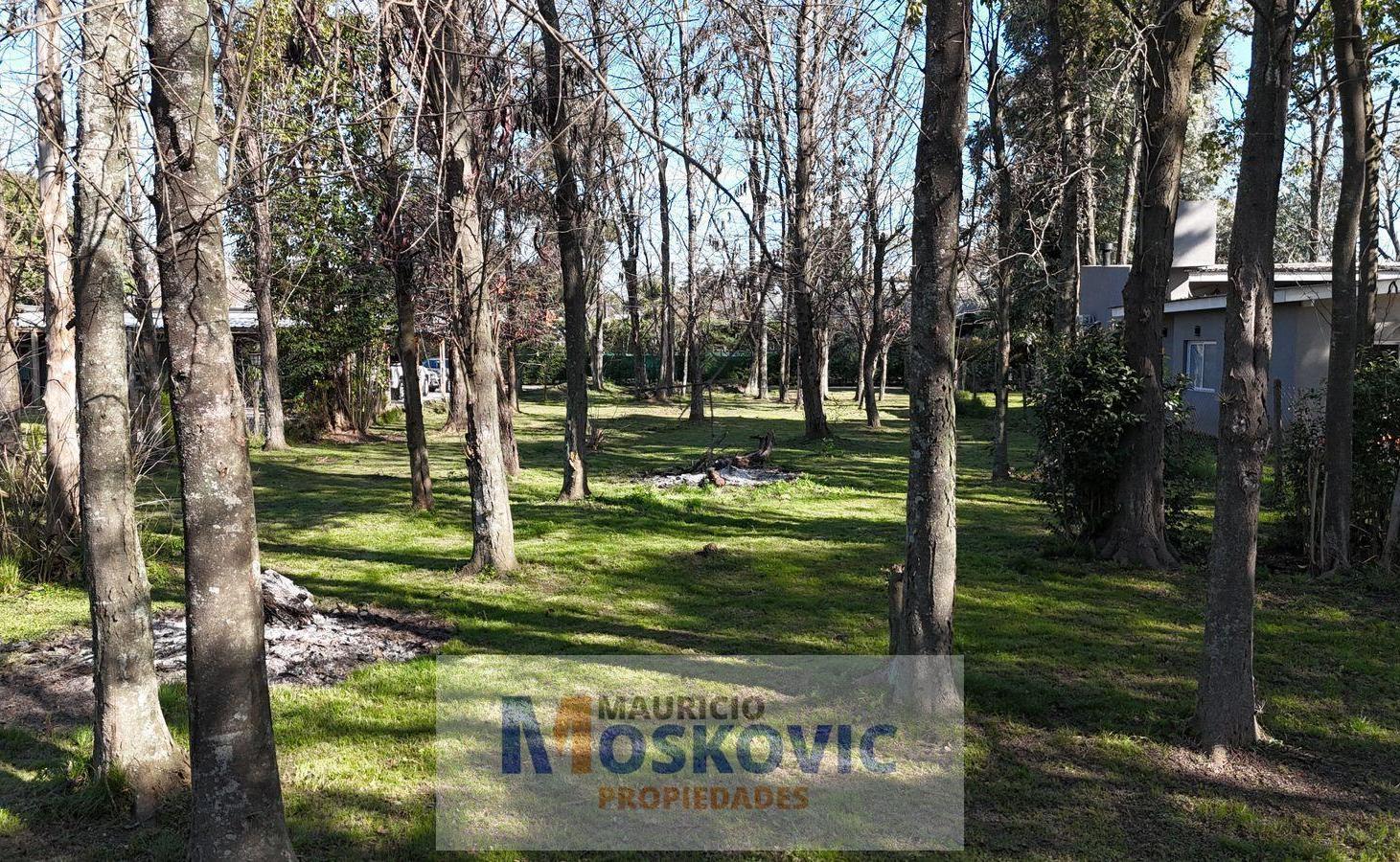 Foto de Terreno en complejo cerrado, imagen 1