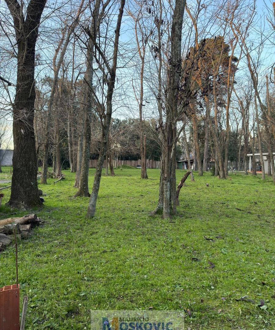 Foto de Terreno en Complejo Cerrado Santa Paula, imagen 5