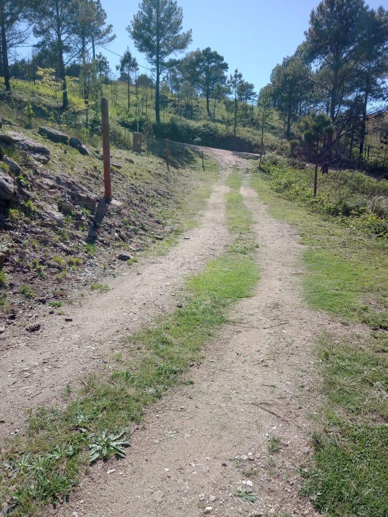 Terreno en Venta 2