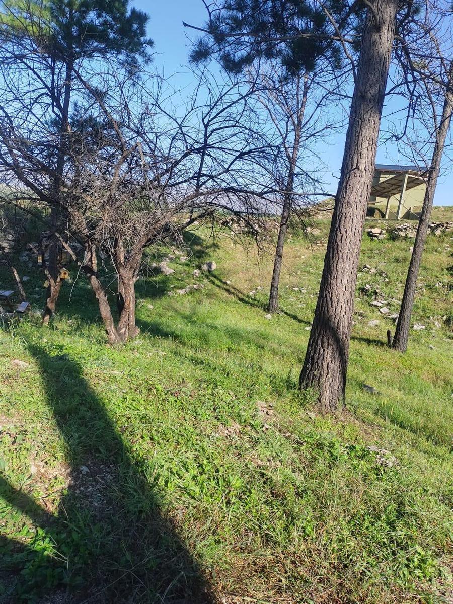 Terreno en Venta 1
