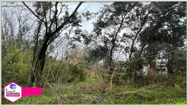 Terreno en Venta 2