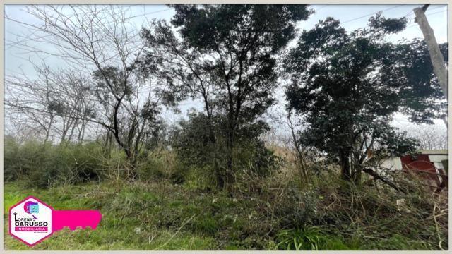 Terreno en Venta 3