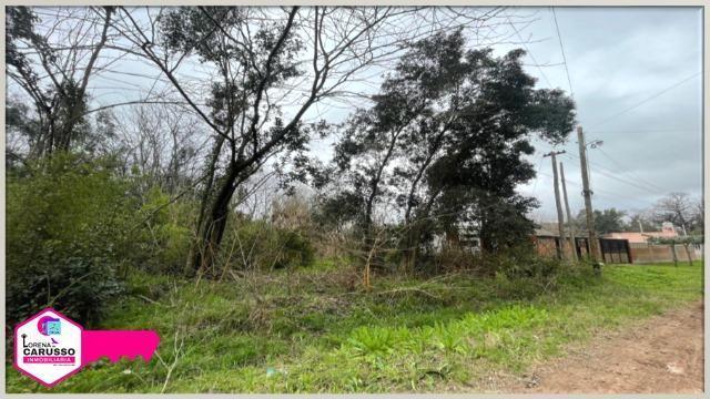 Terreno en Venta 5