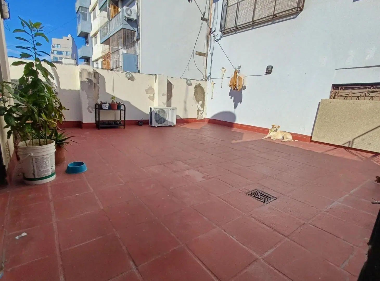 Excelente PH de 3 ambientes con gran terraza, frente al Parque Chacabuco. 3