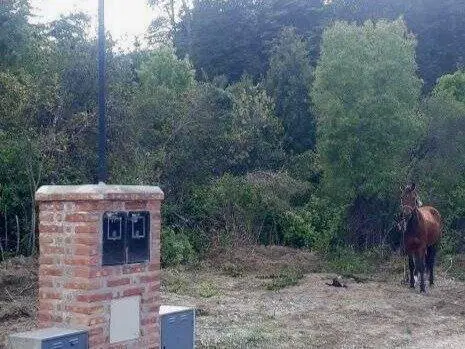 (KT002) Lago Puelo, Loteo Fillol lotes de 450mts2, Isla Sur 3