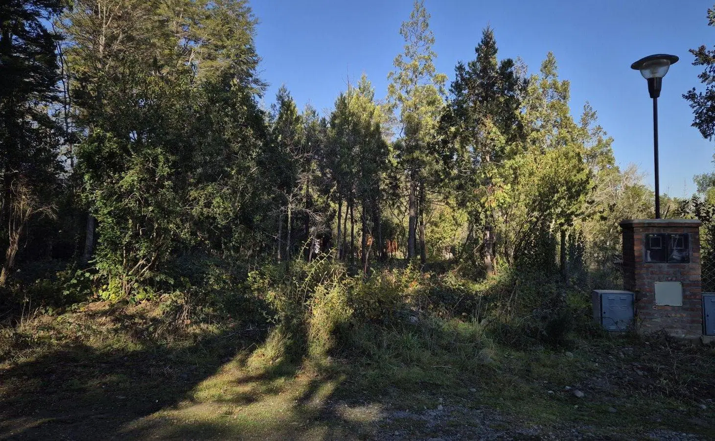 (KT002) Lago Puelo, Loteo Fillol lotes de 450mts2, Isla Sur 5